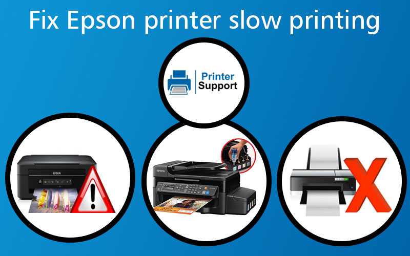 Epson xp 800 manager reviews